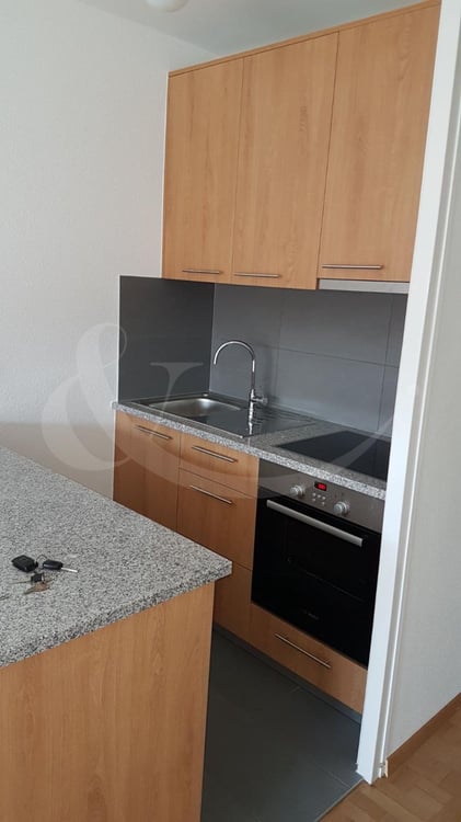 13 Rue Sautter, Appartement de 1 pièce 1