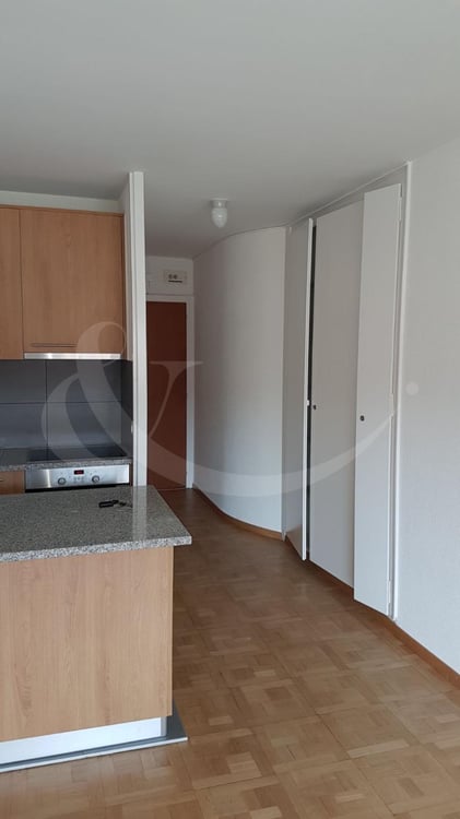 13 Rue Sautter, Appartement de 1 pièce 2