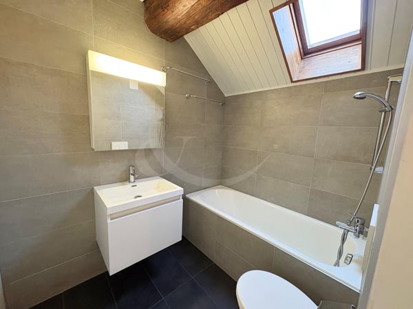 Élégant duplex-loft au coeur de Genève - à deux pas des Quais des Bergues 5