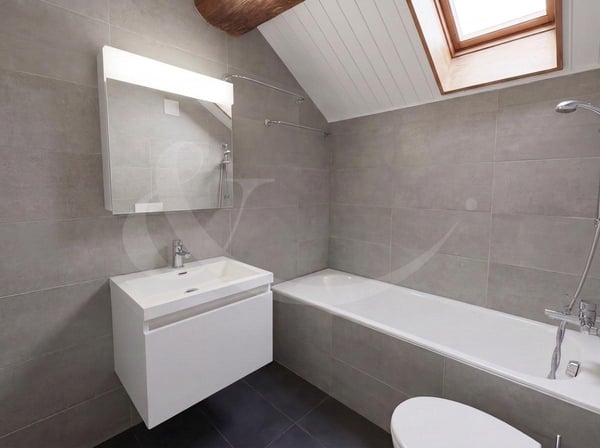 Élégant duplex-loft au coeur de Genève - à deux pas des Quais des Bergues 7