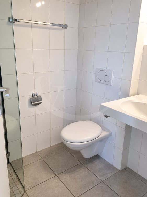 Jolie villa jumelle contemporaine de 7 pièces ? Avusy 8