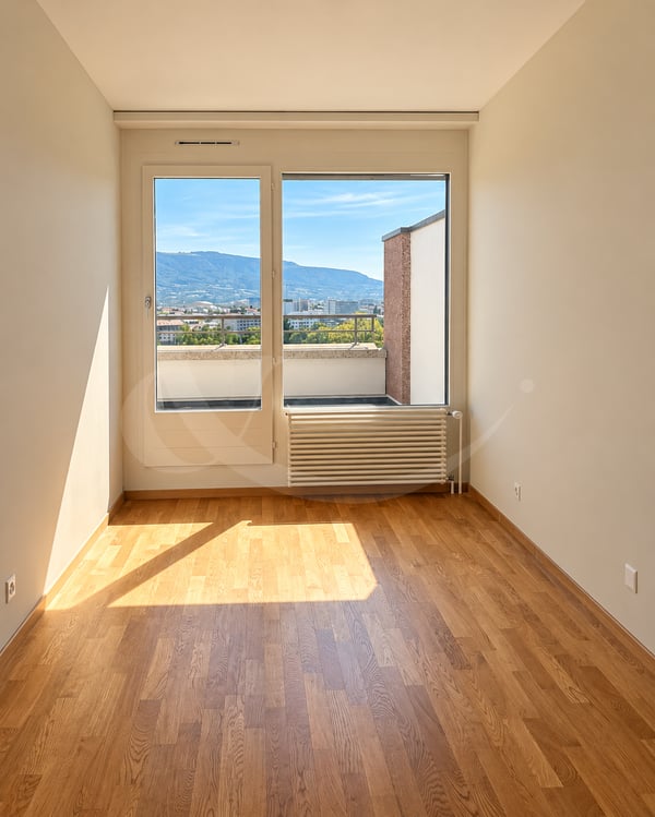 Rue Maurice-Braillard 40, Magnifique duplex traversant avec vue panoramique sur Genève, les Alpes et le Jura 6