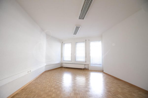 Rue de Vermont 62, espace professionnel lumineux de 478 m2 6