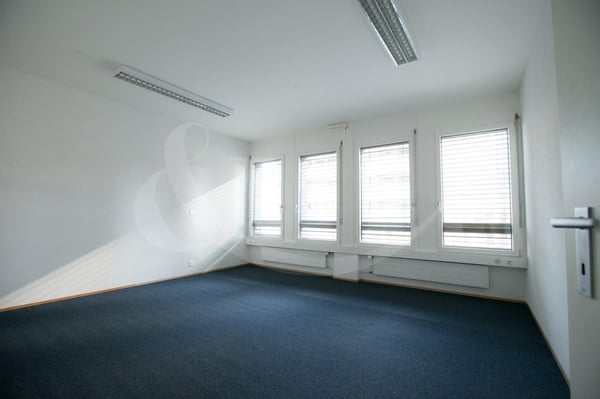 Rue de Vermont 62, espace professionnel lumineux de 478 m2 2