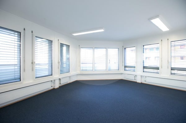 Rue de Vermont 62, espace professionnel lumineux de 478 m2 3