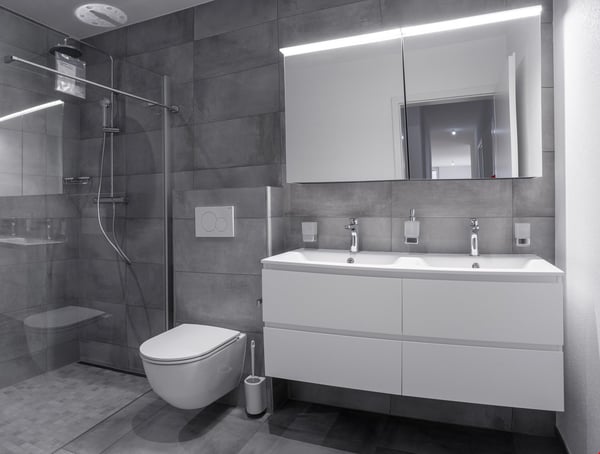 Grand appartement - 4.5p 5