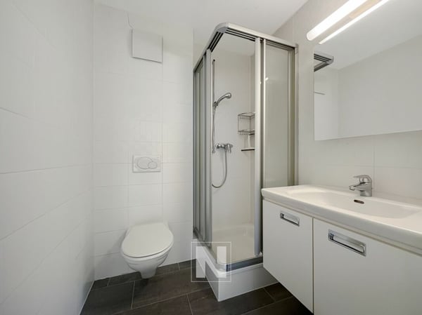 Bel appartement spacieux et lumineux avec balcons! 9