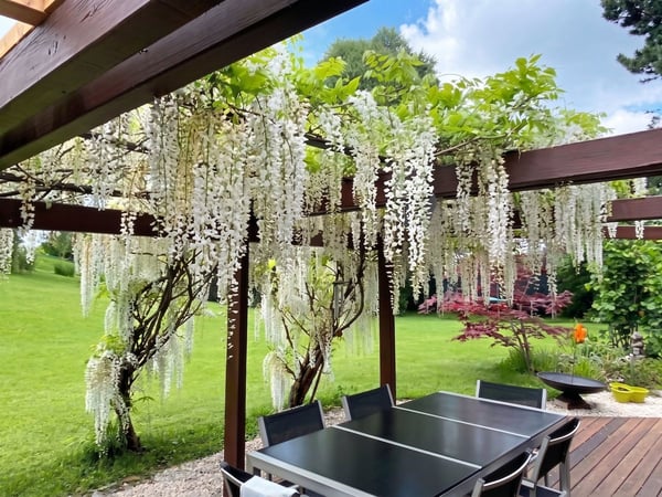 Villa d'architecte 6 pièces - Parcelle d'exception 1'963 m² 7