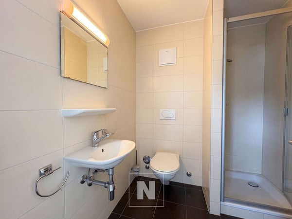 Appartement en attique de 4,5 pièces à vendre à Lausanne - 127 m², grand balcon 13