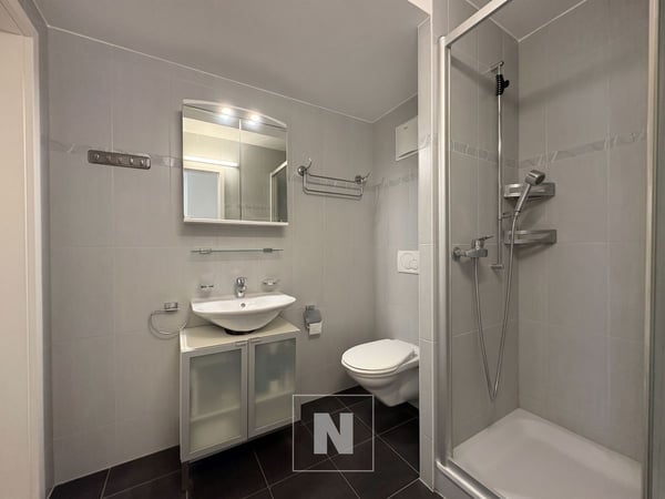 Appartement en attique de 4,5 pièces à vendre à Lausanne - 127 m², grand balcon 6