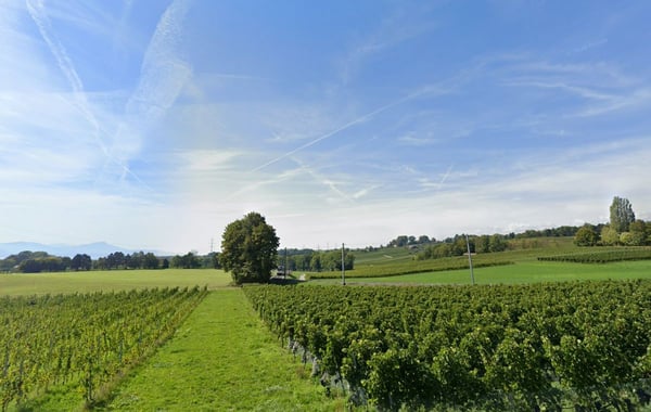 Vente maison vaudoise 8 pièces, environ 300 m2, proche de Morges, terrain d'environ 3000 m2 10