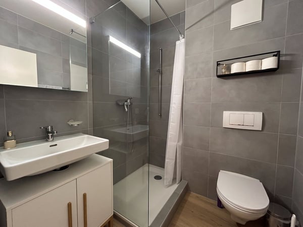 Appartement à vendre à Belmont - 4,5 pièces de 120m2 avec garage box et mezzanine 8