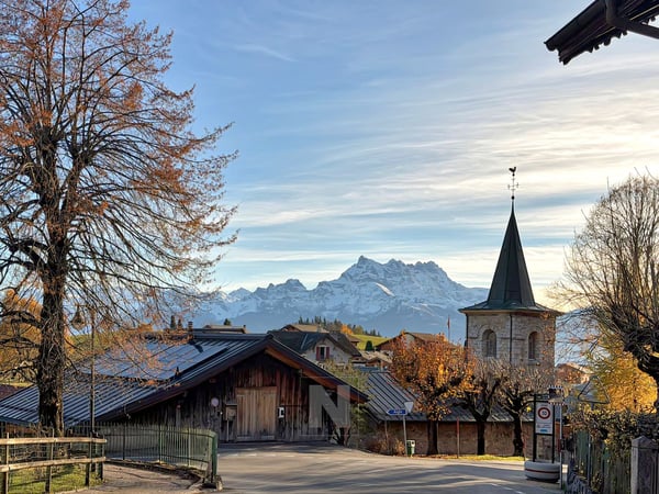 Chalet à vendre à Leysin - 7 pièces, 175 m2 avec sauna