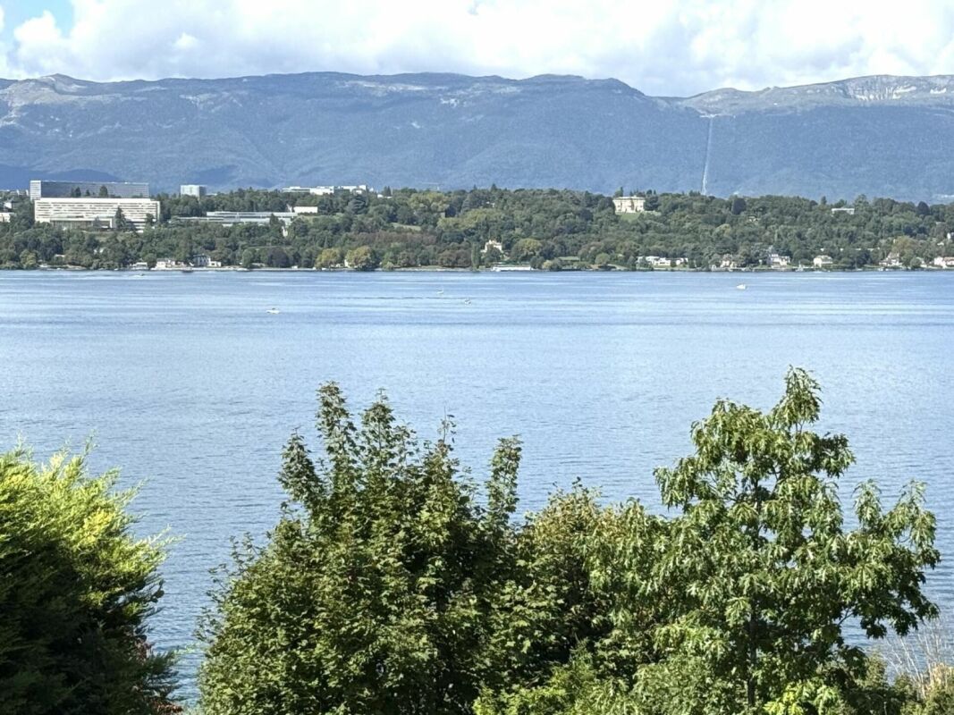 Appartement d'exception à Cologny - Vue panoramique sur le lac Léman / Appartement 10 pièces
