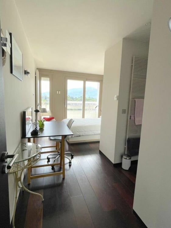 Attique 2 pièces à Genève 7