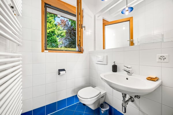 EXCLUSIVITÉ:  COLLONGE BELLERIVE - Magnifique Villa individuelle avec jardin 16