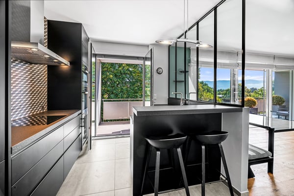 COLOGNY - Magnifique appartement dernier étage 5
