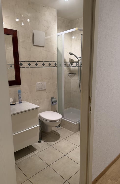 Bel appartement meublé de 3.5 pièces avec jardin 8