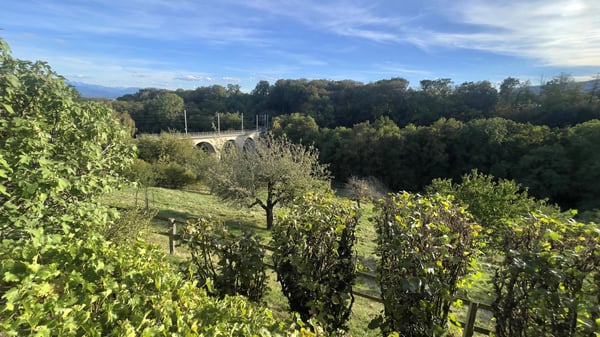 Magnifique propriété de 6,5 pièces dans un corps de ferme avec grand jardin privatif 6