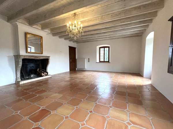 Magnifique appartement de 6.5 pièces dans maison de village, accès grand jardin privatif 5