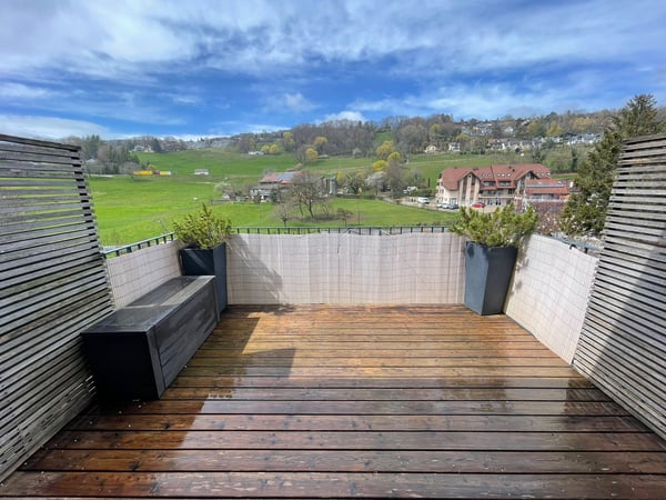 Magnifique appartement avec terrasse 6
