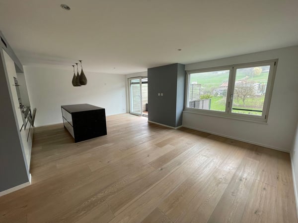 Magnifique appartement avec terrasse 1
