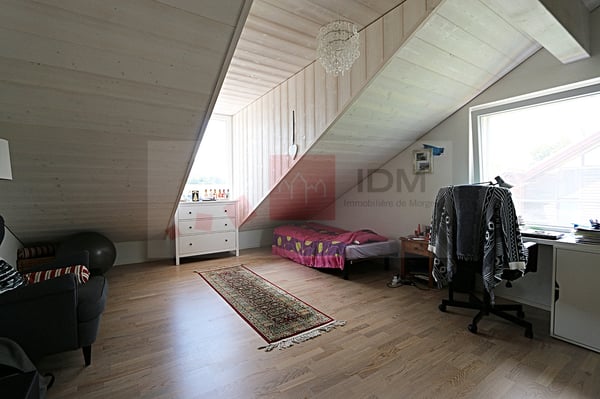 Bel appartement en duplex à Chavannes-le-Veyron 2