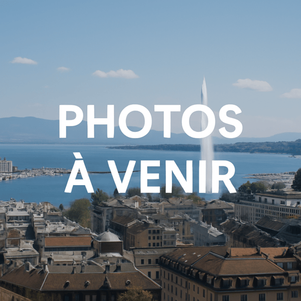 Maison mitoyenne rénovée et au calme à Versoix 12