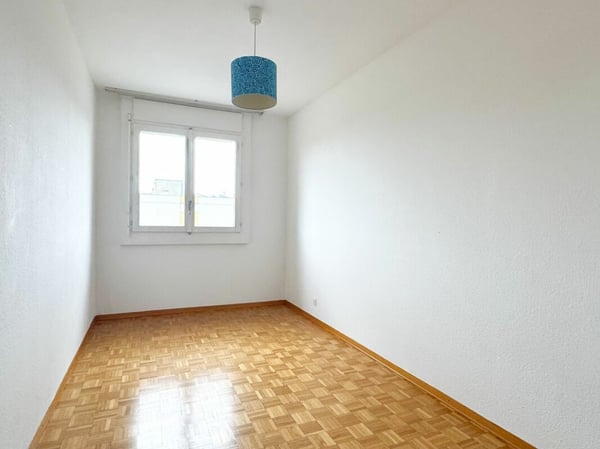 Appartement 6 pièces rénové à Meyrin 9