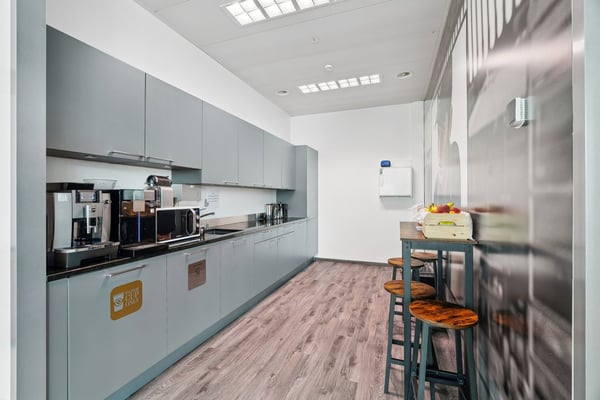 Surface disponible 550 m2- Immeuble Galaise 24 à Plan-Les-Ouates 12