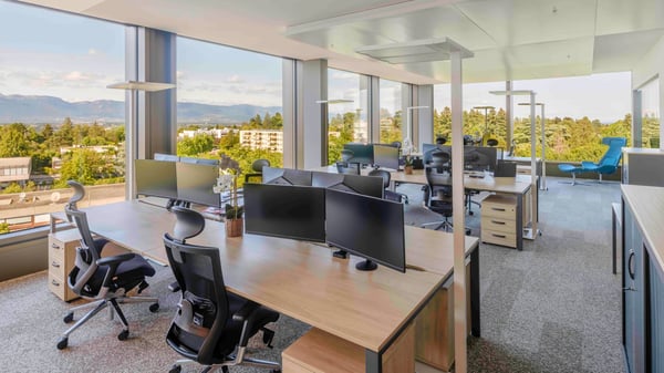 A green working environment designed for encounters and Synergies 3