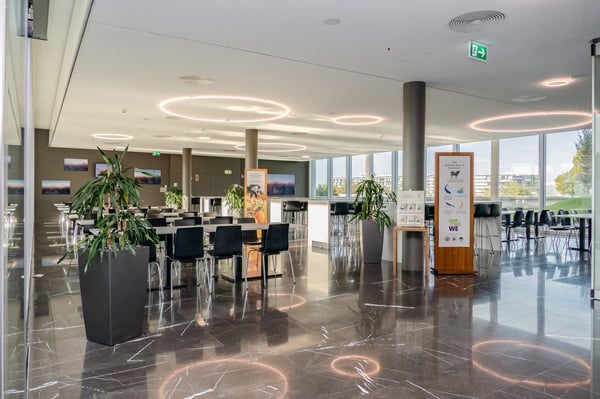 427 m2 - Prächtige Büroflächen neben Biopôle 7