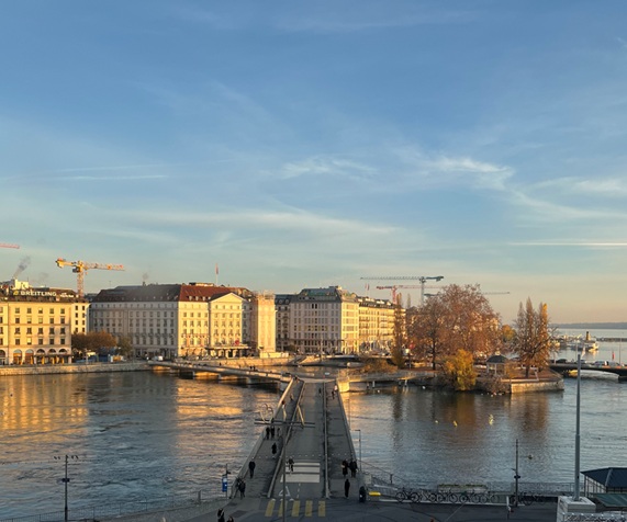 Magnifiques bureaux à la rue du Rhône avec vue dégagée sur la rade 1