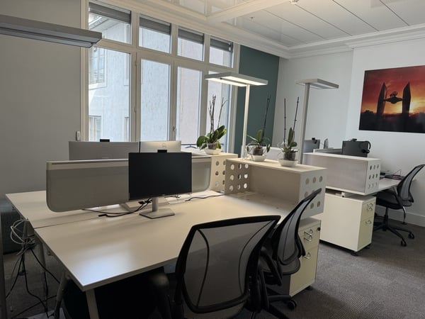 1'230 m² von Prestige mit Terrasse - Zentrum Genf 11