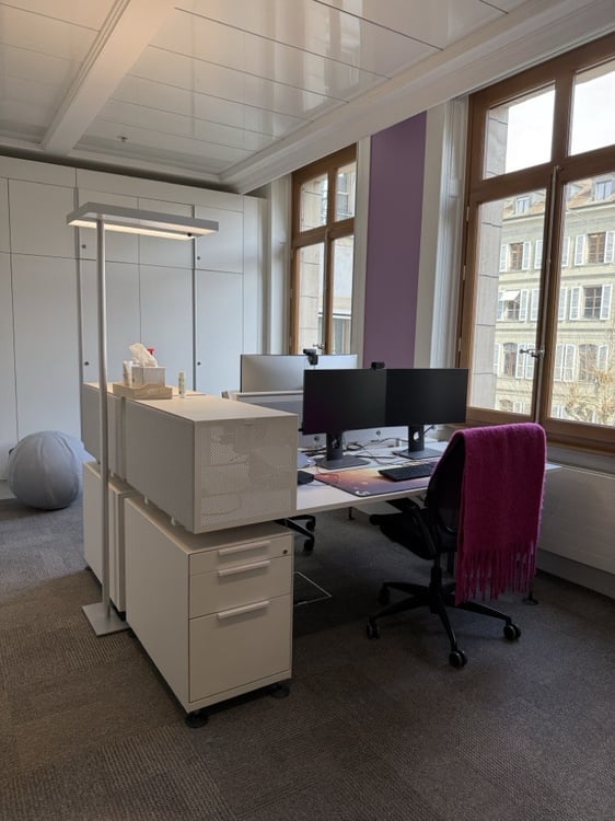 1'230 m² von Prestige mit Terrasse - Zentrum Genf 9