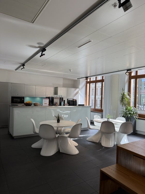 1'230 m² von Prestige mit Terrasse - Zentrum Genf 8
