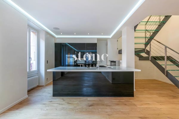 Superbe duplex avec grande terrasse au coeur des Eaux-Vives 4