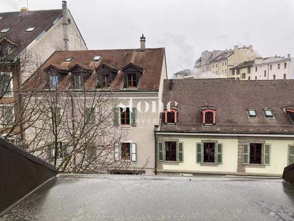Carouge