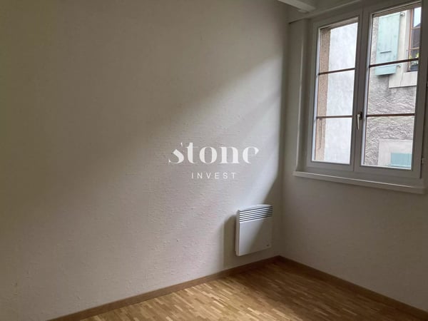 Magnifique DUPLEX au 3éme étage à Carouge 9