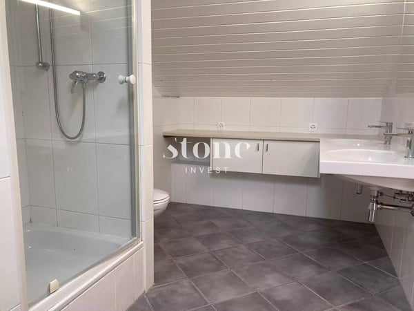 Magnifique DUPLEX au 3éme étage à Carouge 12