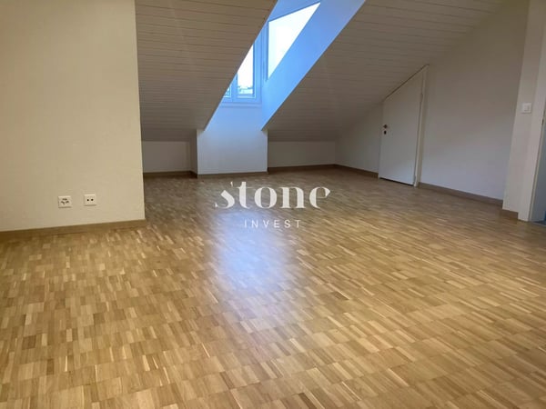 Magnifique DUPLEX au 3éme étage à Carouge 10