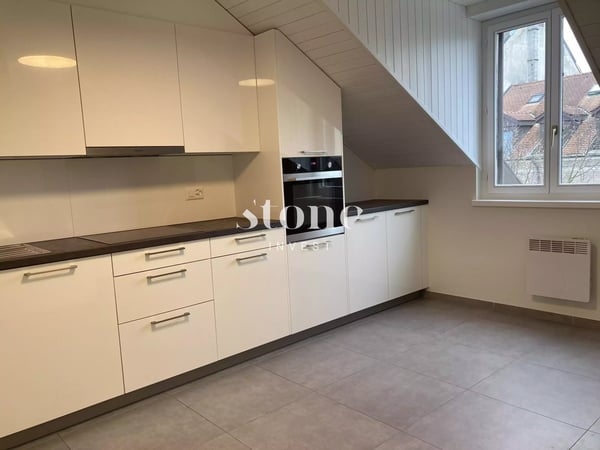 Magnifique DUPLEX au 3éme étage à Carouge 1
