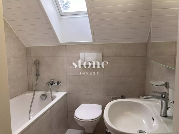 Magnifique DUPLEX au 3éme étage à Carouge 11
