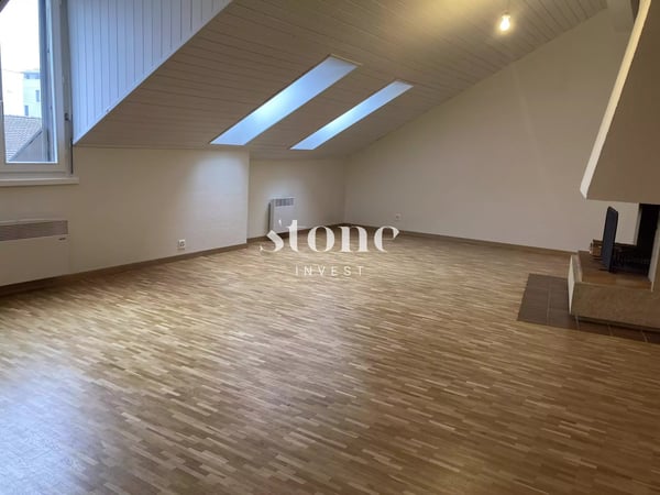 Magnifique DUPLEX au 3éme étage à Carouge