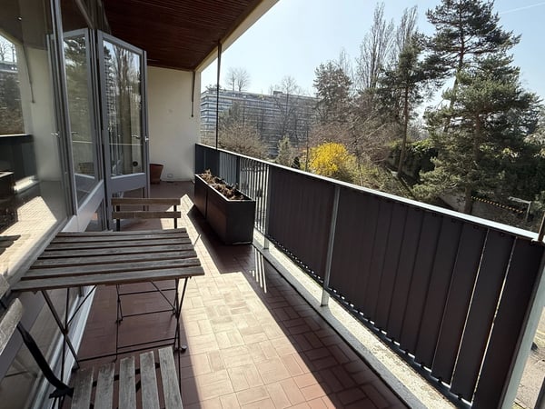 Magnifique appartement lumineux meublé récemment rénové de 58 m3 et 34 m3 de terrasse avec vue dégagée sur le parc 8