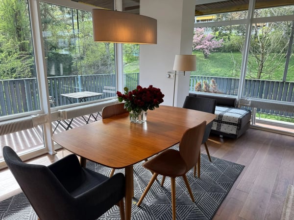 Magnifique appartement lumineux meublé récemment rénové de 58 m3 et 34 m3 de terrasse avec vue dégagée sur le parc 3