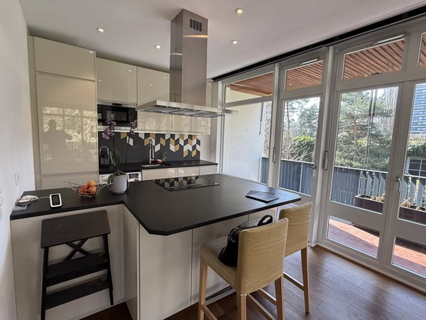 Magnifique appartement lumineux meublé récemment rénové de 58 m3 et 34 m3 de terrasse avec vue dégagée sur le parc 5