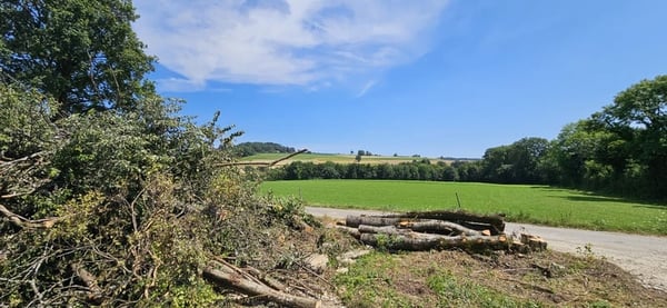 NOUVEAU PRIX !! Projet de 2 villas de 6 pièces Minergie 5