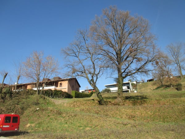 MORBIO INFERIORE - TERRENO R2 3
