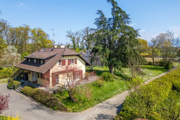 Belle villa familiale avec une forêt privée 4